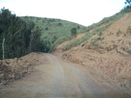 Foto que mostra a estrada de acesso  Comunidade de Remanescentes de de Quilombos Areia Branca, municpio de Bocaiva do Sul - PR. <br /><br /> Foto: Clemilda Santiago Neto